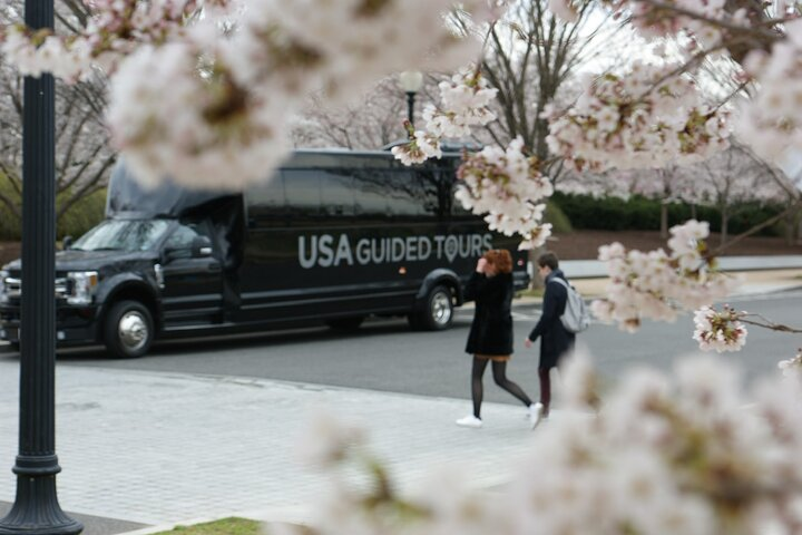 The DC Cherry Blossom Bus Tour with Tidal Basin Guided Walk - Photo 1 of 8